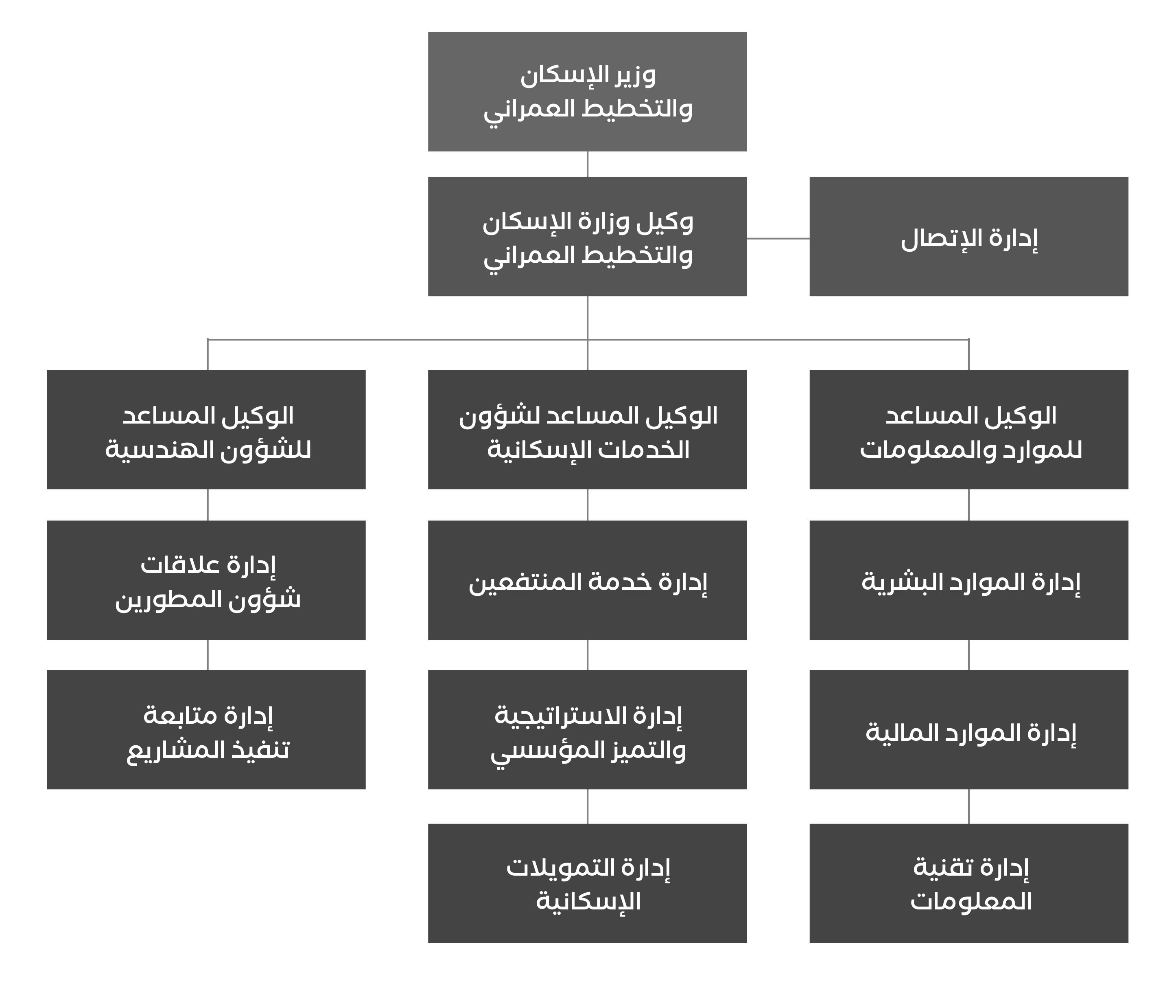 الهيكل التنظيمي