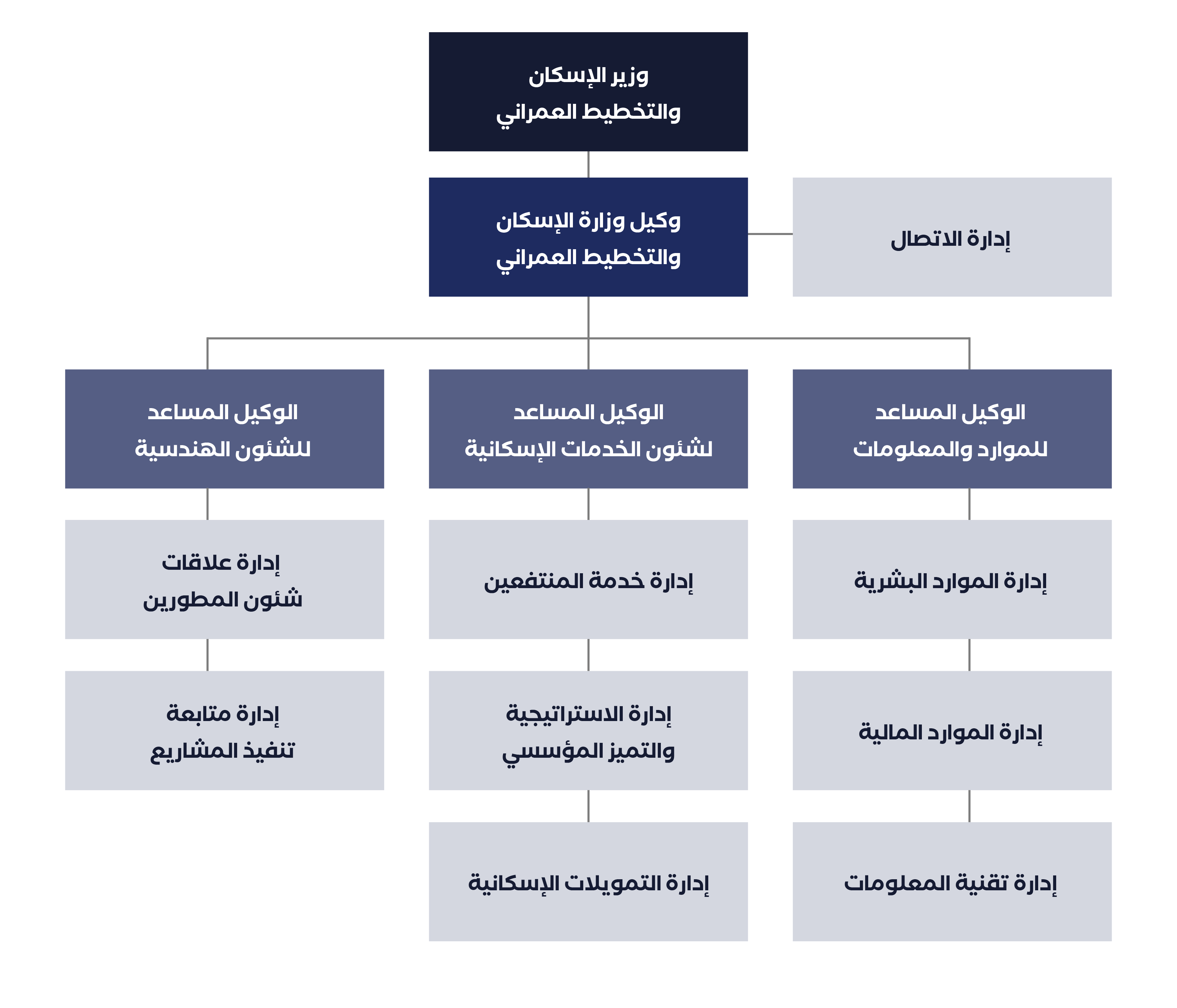 Organizational Chart Dark